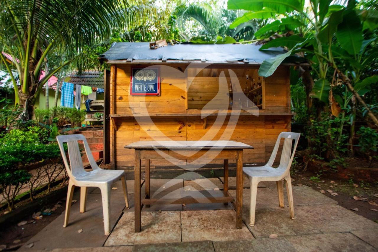 Zulu Land - Near Curlies Shack And Shiva Valley -